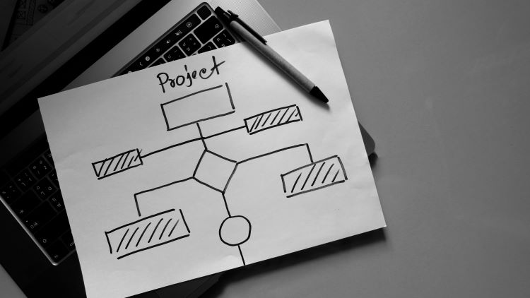 technical project management